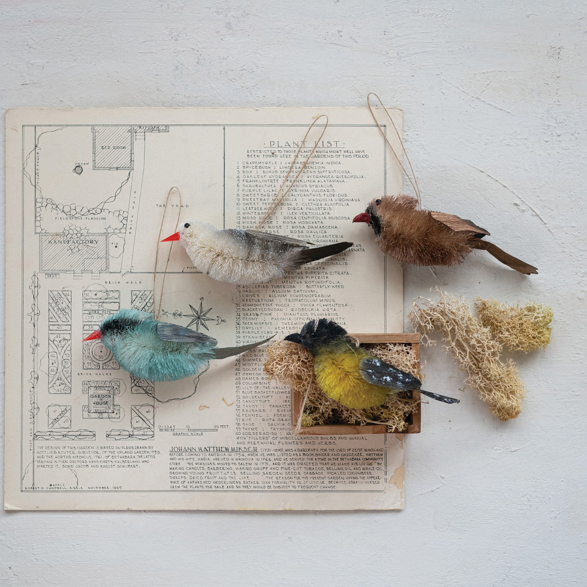 Four CREATIVE COOP SISAL BIRD ORNAMENTS in blue, cream, yellow, and brown hang from strings against a white background. Each features a red beak and detailed feather textures.