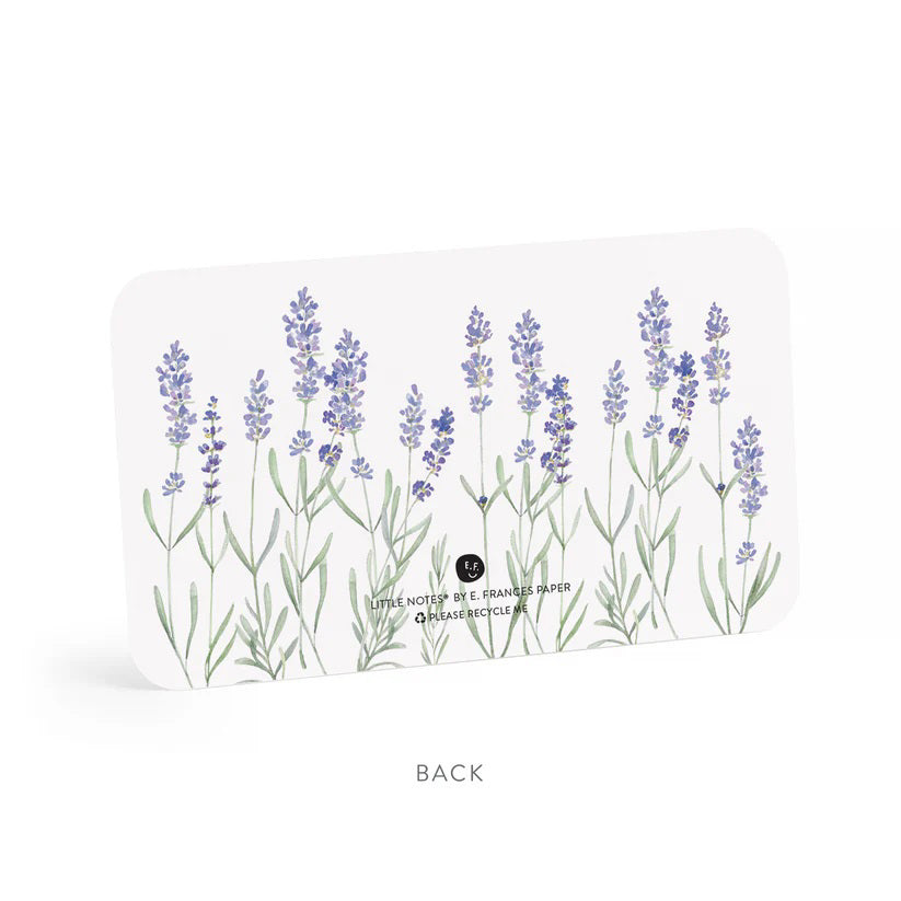 Clear plastic box with 85 tiny notecards called "E. FRANCES PAPER - LAVENDER LITTLE NOTES" featuring hand-painted watercolor lavender sprig illustrations on each white card.