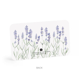 Clear plastic box with 85 tiny notecards called "E. FRANCES PAPER - LAVENDER LITTLE NOTES" featuring hand-painted watercolor lavender sprig illustrations on each white card.