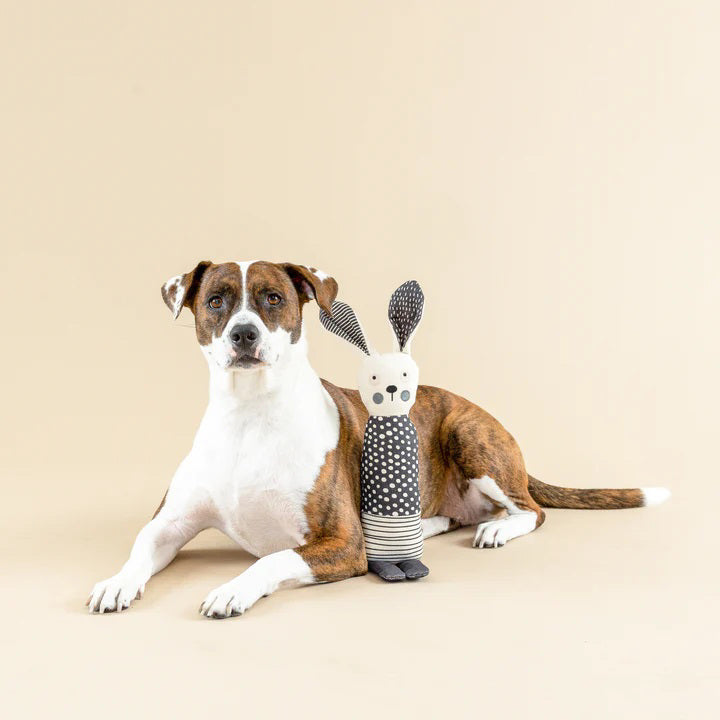 The FRINGE STUDIO - ALL EARS RABBIT CANVAS DOG TOY by PET SHOP BY FRINGE STUDIO is a light-colored fabric doll resembling a rabbit that stands upright. It has long ears, one black and one patterned, with a polka-dot dress combined with striped fabric. Designed for interactive play, the doll features simple facial details with round eyes, a small nose, and pink cheeks.