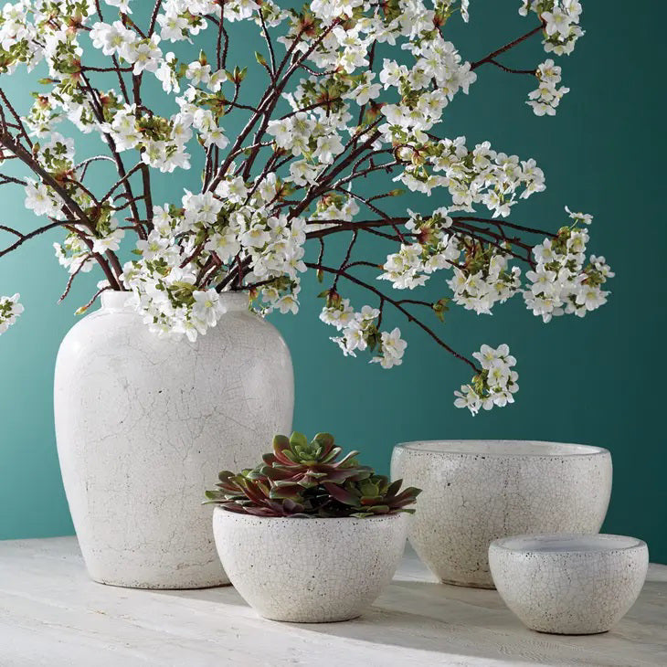 The QUINCE BLOSSOM BRANCH by NAPA HOME AND GARDEN features small white flowers and green buds on slender brown stems, ideal for home decor. Isolated on a white background. Available for convenient instore pickup.