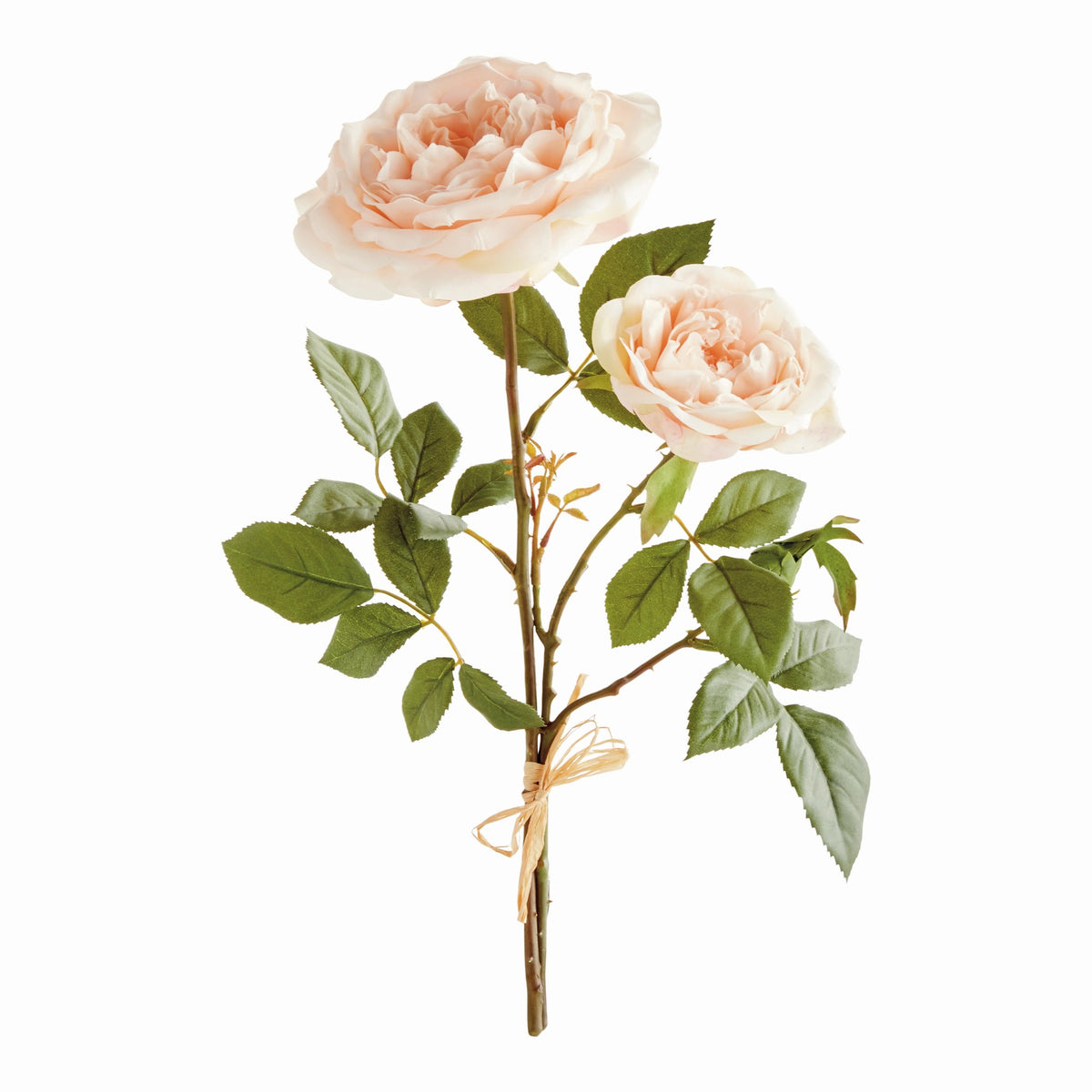 The NAPA HOME AND GARDEN - ENGLISH ROSE STEM features two large, pale peach roses with life-like petals and lush green leaves, tied with a natural raffia ribbon against a plain white background.
