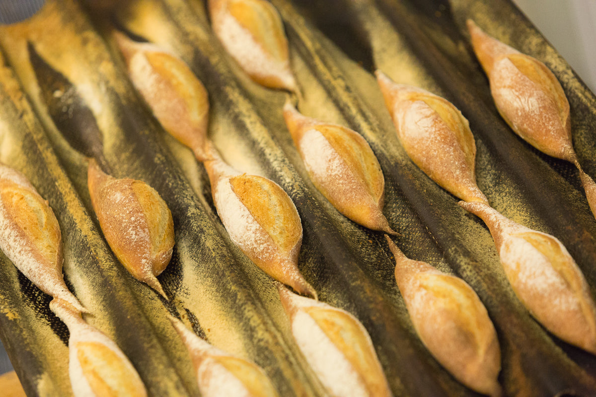Rows of small, oval-shaped baguettes with pointed ends are arranged on a perforated baking tray, dusted lightly with flour and some cornmeal.
