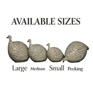 The LES CERAMIQUES DE LUSSAN Medium Ceramic French Guinea in Matte White Spotted Bordeaux is a handmade ceramic sculpture featuring a bird with a rounded body, decorated in a brown and white dotted pattern inspired by French guinea hens, and perched on a simple white cylindrical base.