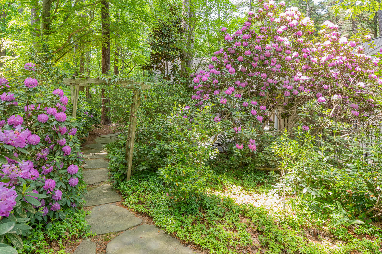 A stone path leads through a garden with flowering pink rhododendron bushes, lush green foliage, and a rustic wooden arbor under tall trees on a sunny day.