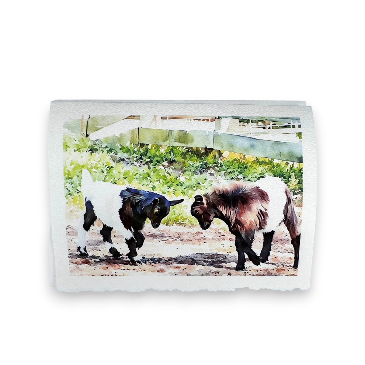 Two goats with white and brown fur playfully butting heads near a white fence on a sunny day capture the charm of Fearrington Village, featured in the PICTURE SALON FEARRINGTON SIGNATURE COLLECTION - &quot;KNOCKING HEADS&quot; watercolor greeting card.