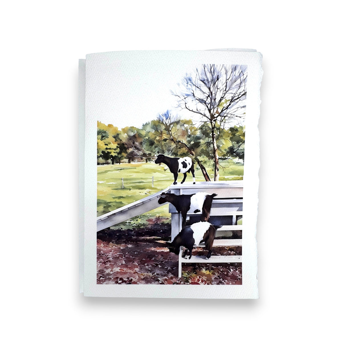 The FEARRINGTON SIGNATURE COLLECTION - WATERCOLOR GREETING CARD &quot;STEP IT UP&quot; by PICTURE SALON features two black and white goats on a wooden ramp in a grassy outdoor scene—perfect for capturing the charm of village life.