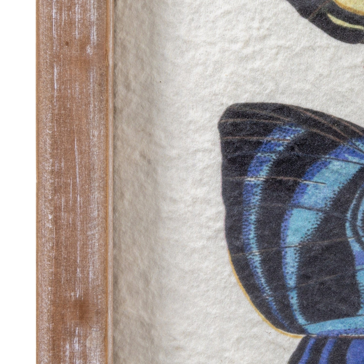 The CREATIVE COOP FRAMED BUTTERFLY ARTWORK displays six colorful butterflies with yellow, blue, brown, and red wings in a circular pattern on a white textured background with a rustic wooden frame—ideal for unique wall décor.