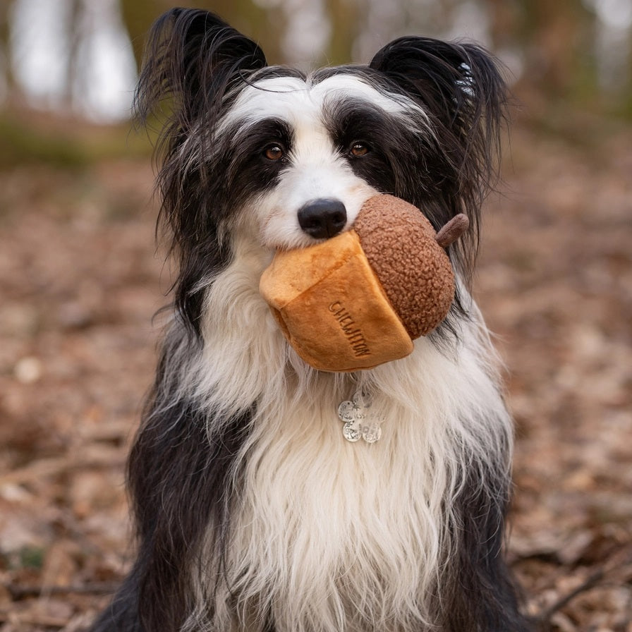 A plush, squeaky dog toy from CHEWFFON shaped like an acorn, featuring a textured brown top and a smooth tan base. The word “CHEWFFON” is embroidered on the base in light brown thread. This toy is called the ACORN SNUFFLE &amp; SQUEAKY DOG TOY.