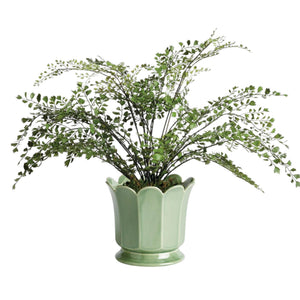 The NAPA HOME AND GARDEN Maline Footed Pot in Green, Large, features a light green ceramic finish with a scalloped, petal-like rim and a flared, rounded base. This elegant vase by NAPA HOME AND GARDEN is photographed against a plain white background.