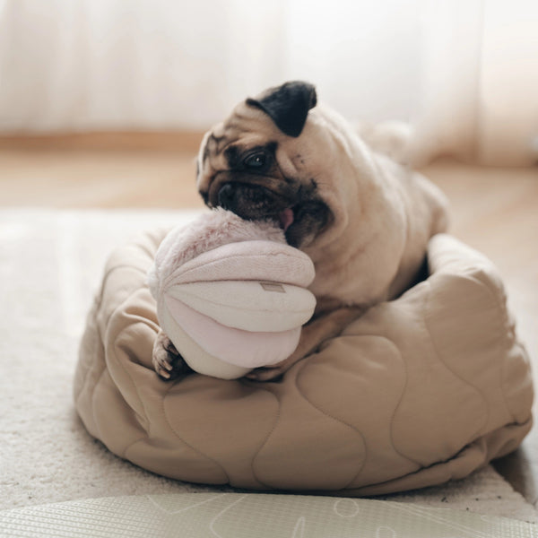 LAMBWOLF COLLECTIVE - TOTO DOG TOY - Fearrington Village
