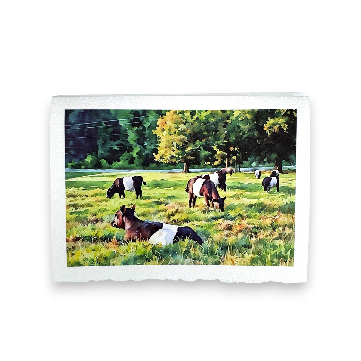 The FEARRINGTON SIGNATURE COLLECTION &quot;LAZY DAYS&quot; watercolor greeting card by PICTURE SALON features black and white cows relaxing in a sunlit green field—perfect for premium stationery or watercolor-themed messages.