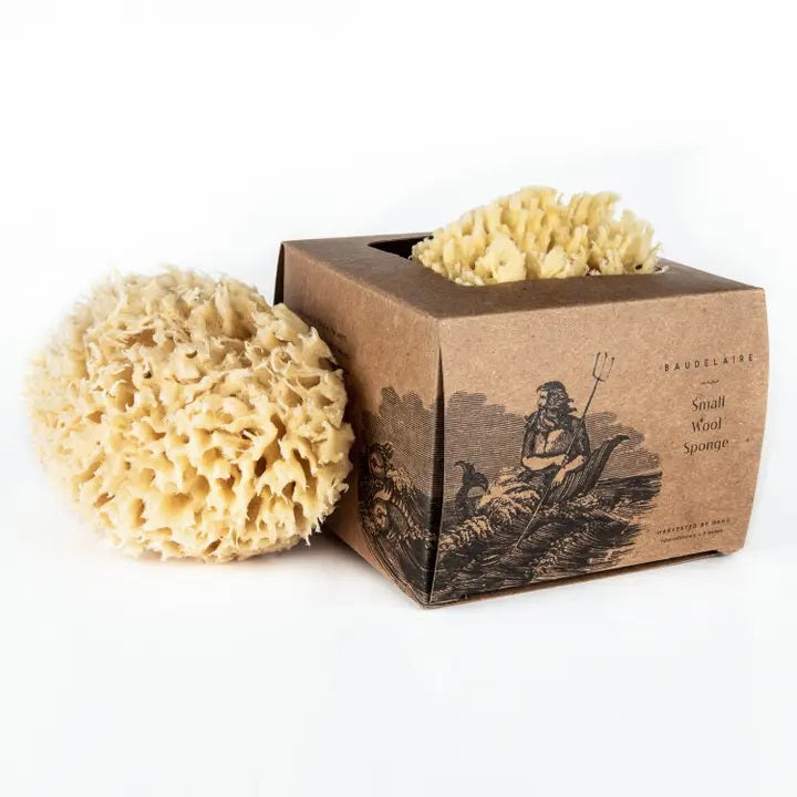 A boxed BAUDELAIRE Bath Sea Sponge Gift Box, Small, rests on a table, partially opened to display the natural yellow bath sponge inside. The packaging showcases vintage-style illustrations and text, while a bottle and another sponge appear blurred in the background.