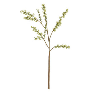 The NAPA HOME AND GARDEN - BLOSSOM BUD STEM 24, with its light green buds on thin branches, elegantly complements your home decor against a white background, seamlessly fitting any interior design scheme.