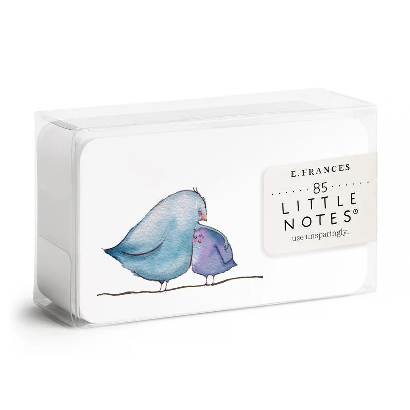 A clear plastic box holds 85 "Birdie Love Little Notes" by E. Frances Paper, each capturing the essence of "Birdie Love," with a front card watercolor of a large blue bird and a small purple bird perched on a branch.