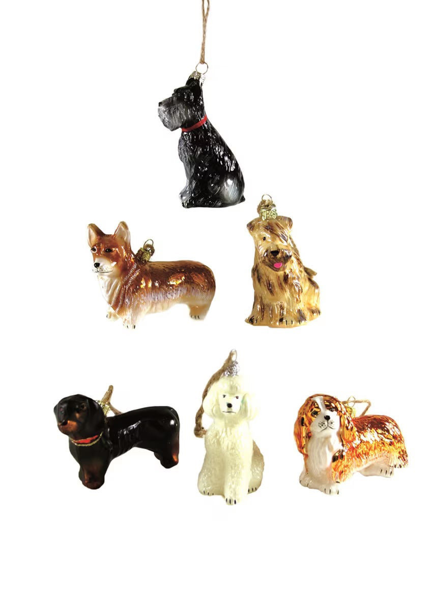 Experience the charm of six exquisite Christmas ornaments crafted in glass from the CODY FOSTER collection, DOG ORNAMENTS. This delightful assortment features beloved dog breeds such as a black terrier, corgi, golden retriever, black labrador, white poodle, and spaniel, all beautifully displayed on a pristine white background.