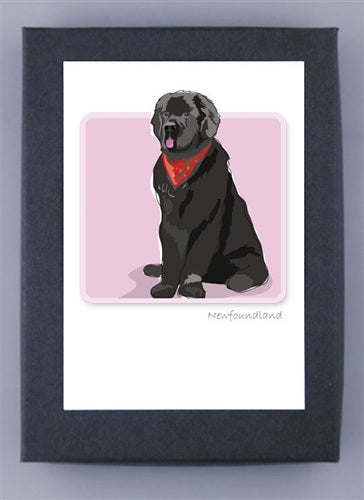 Illustration of a black Newfoundland dog with a red bandana on pink background, crafted on FSC certified paper. &quot;Newfoundland&quot; elegantly scripted in the corner. Product: PAPER RUSSELS - NEWFOUNDLAND BOX NOTES by PAPER RUSSELLS.