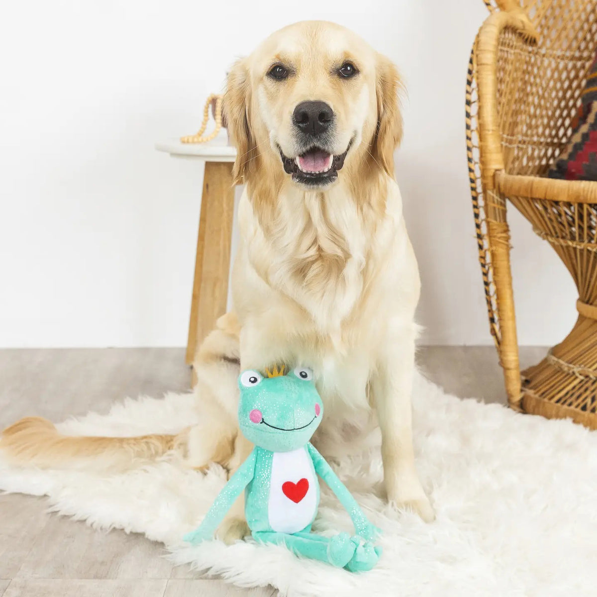 The PET SHOP BY FRINGE STUDIO&#39;s PRINCE CHARMING DOG TOY is a plush frog with a yellow crown, white belly, red heart on its chest, long limbs, and a smiling face. It includes crazy crinkle paper for extra fun.