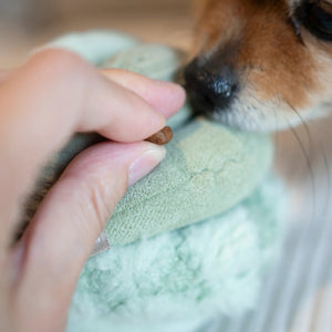 The LAMBWOLF COLLECTIVE - TOTO SILENT SNUFFLE BALL DOG TOY is a soft, light green plush ball crafted from various textured fabric segments stitched together in a flower-like or abstract shape.
