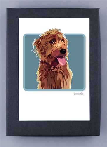 A premium recycled PAPER RUSSELS - AMBER DOODLE BOX NOTES showcases a fluffy, light brown dog with its tongue out on a teal background. Framed with a black border, "Doodle" is visible in the lower right corner, offering an eco-friendly touch. Brand: PAPER RUSSELLS.