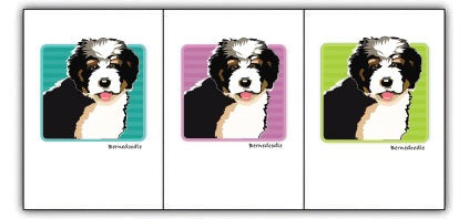 The "PAPER RUSSELS - BERNEDOODLE NOTE CARDS" by PAPER RUSSELLS feature an illustration of a Bernedoodle puppy with black, white, and brown fur centered on a teal striped background with rounded corners. Below the image, the text "Bernedoodle" is written in light brown. The illustration is printed on recycled paper and framed with a gray border.