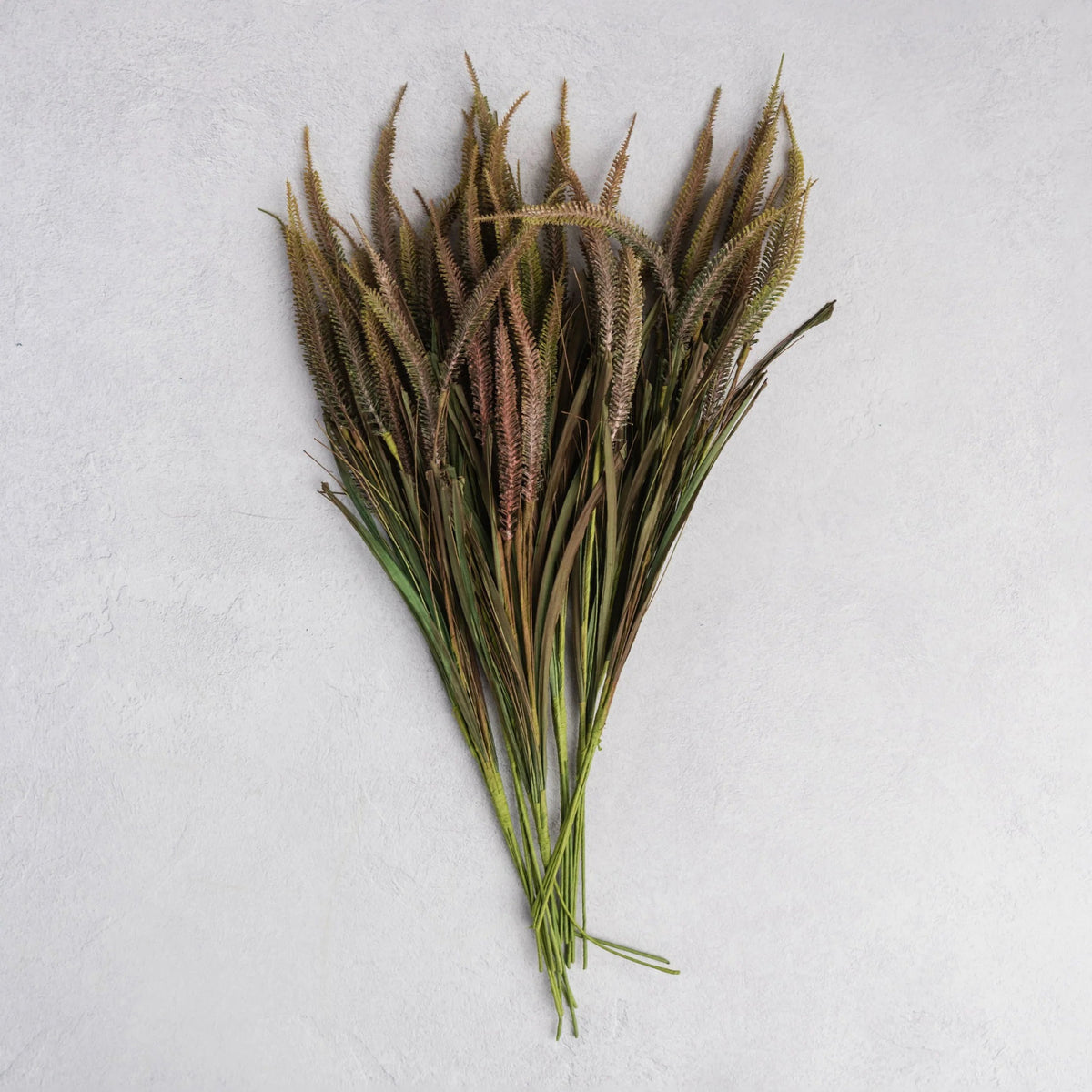 The ABIGAIL AHERN - VERONICA BUNCH features faux stems with long green stalks and brown spiky seed heads, arranged in a fan shape on a light gray surface.