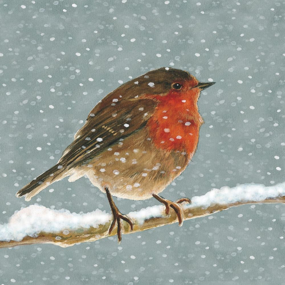 A robin with a red breast sits on a snowy branch as snowflakes fall against a gray sky—an ideal winter scene featured on PAPER PRODUCTS DESIGN’s &quot;Snow is Falling&quot; 3-ply beverage napkins for festive gatherings.