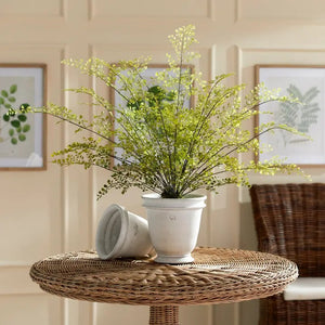 The NAPA HOME AND GARDEN - MAIDENHAIR FERN DROP IN, 30” features delicate green leaves and thin stems arranged in a white ceramic pot with moss, creating a realistic accent for any space.