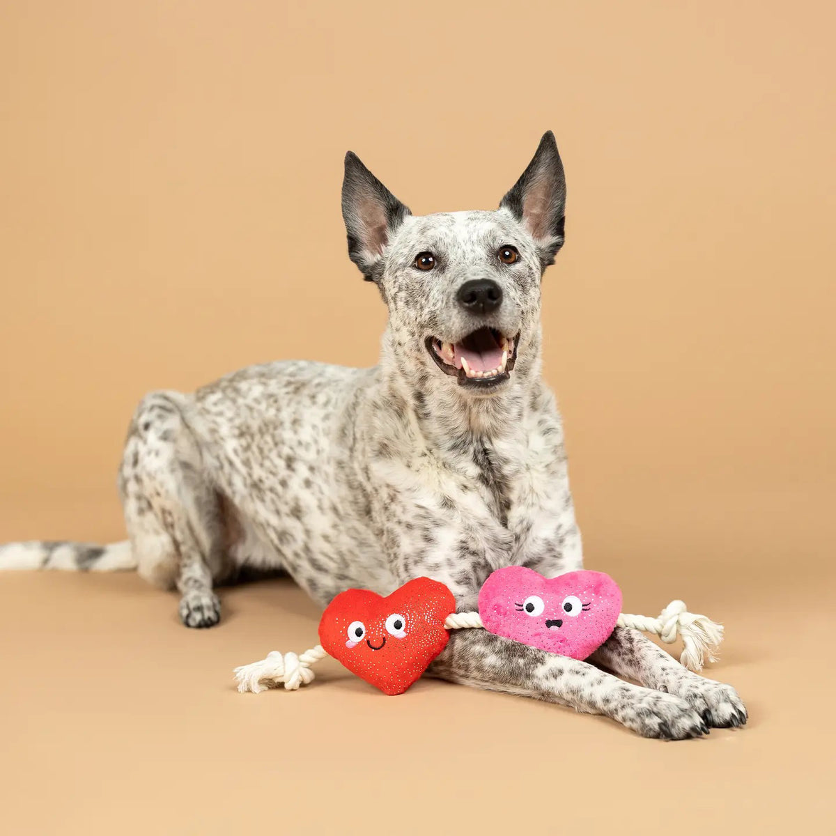 The PET SHOP BY FRINGE STUDIO&#39;s &quot;CAN&#39;T BE AP-HEART DOG TOY&quot; features two plush, heart-shaped squeakers in red and pink with cute faces and sparkly textures, connected by a knotted white rope, perfect for dogs of all sizes.