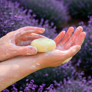 L'AUGUSTE PROVENCE – THE ESSENCE OF PROVENCE Lavender Soap, a round handmade French soap wrapped in cloth with a lavender field and tree motif, rests in an open L'AUGUSTE PROVENCE gift box beside its lid and scattered lavender buds.