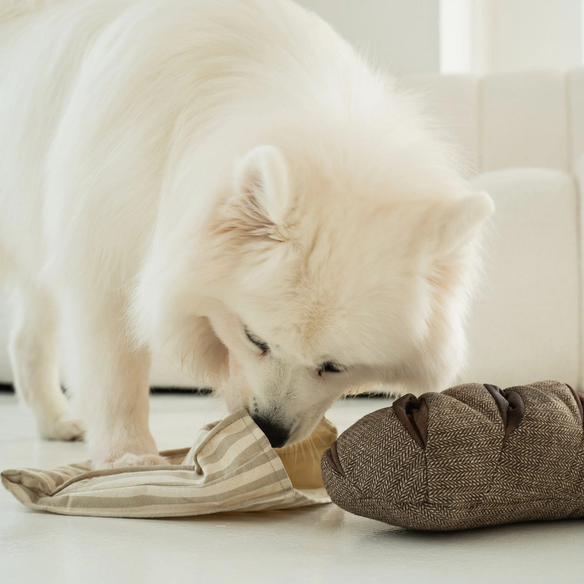 A fluffy brown dog is lounging on a soft, light-colored couch with its front paws resting on a brown pillow and its favorite LAMBWOLF COLLECTIVE - RYE DOG TOY nearby. The dog looks relaxed and content in a cozy, neutral-toned setting.