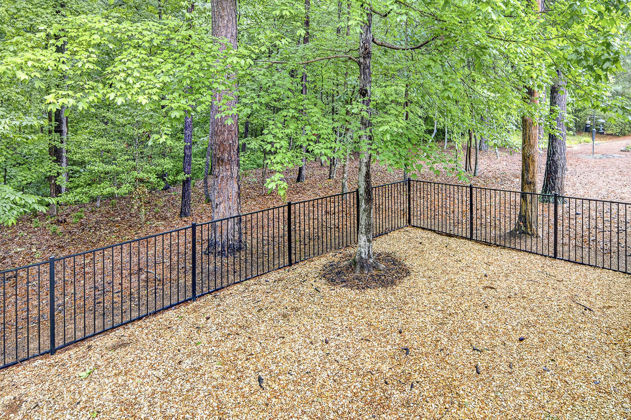 A black metal fence encloses a corner area with wood chip ground cover and a tree growing inside it, surrounded by a forested area with tall trees and green foliage.