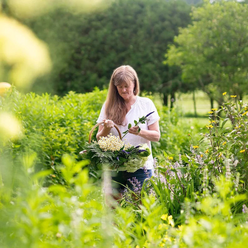The PETAL PEOPLE PRESS Father's Day card shows a whimsical illustration on FSC-certified cardstock with two figures made of pressed flowers and leaves. The taller figure lifts the smaller one, both featuring leafy limbs and bodies adorned with vibrant purple flowers.