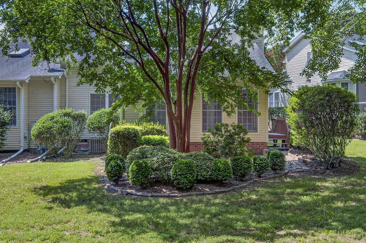 A landscaped yard with trimmed bushes, a large tree in the center, and a house with light-colored siding and multiple windows in the background.