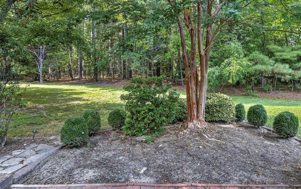 A landscaped garden with trimmed bushes, a tree with smooth bark, and a wooded area in the background; some grass and dirt are visible in the foreground.