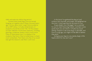 Yellow square with a teal border on pink. Gray center text reads, "MUSEUM OF DOGS BY JESSICA POUNDSTONE—A quirky & fascinating collection from HACHETTE BOOK GROUP featuring the best dogs in art history.