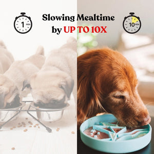 The BARKS & BROWNIES SNUFFLE MAT BOWL - BLUE features a tray with twelve four-petal flower shapes—ten in blue and two in yellow, with the yellow flowers placed at the center—all crafted from food-grade silicone for safe use as a dog slow feeder or snuffle mat bowl.