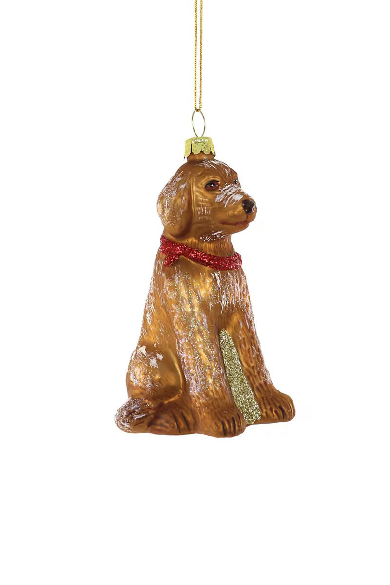 The LABRADOODLE ORNAMENT by CODY FOSTER, a glass Christmas decoration shaped like a sitting brown dog with a red collar and gold highlights, hanging by a thin golden string, is the perfect festive product to adorn your tree.