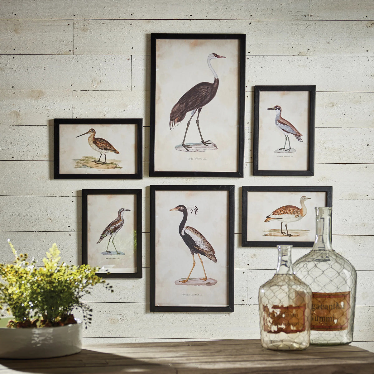 The NAPA HOME AND GARDEN - WATERFOWL GALLERY ART SMALL collection, featuring six framed aquatic bird illustrations, adorns a white wooden wall. In the foreground, a vase with greenery and two decorative glass bottles sit on wood, with soft shadows enhancing a cozy ambiance.