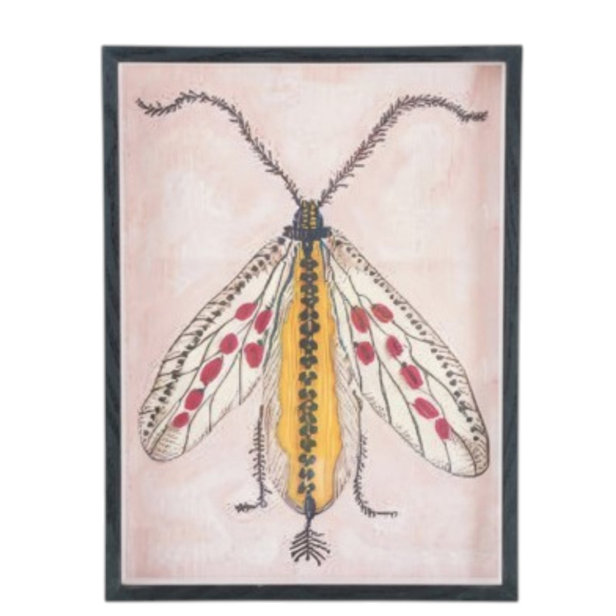 The CREATIVE COOP FRAMED ACRYLIC WALL ART, MOTHS features a vibrant moth with red and yellow wings, a yellow segmented body, and feathery antennae on a light background—ideal for botanical-themed décor.