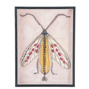 The CREATIVE COOP FRAMED ACRYLIC WALL ART, MOTHS features a vibrant moth with red and yellow wings, a yellow segmented body, and feathery antennae on a light background—ideal for botanical-themed décor.