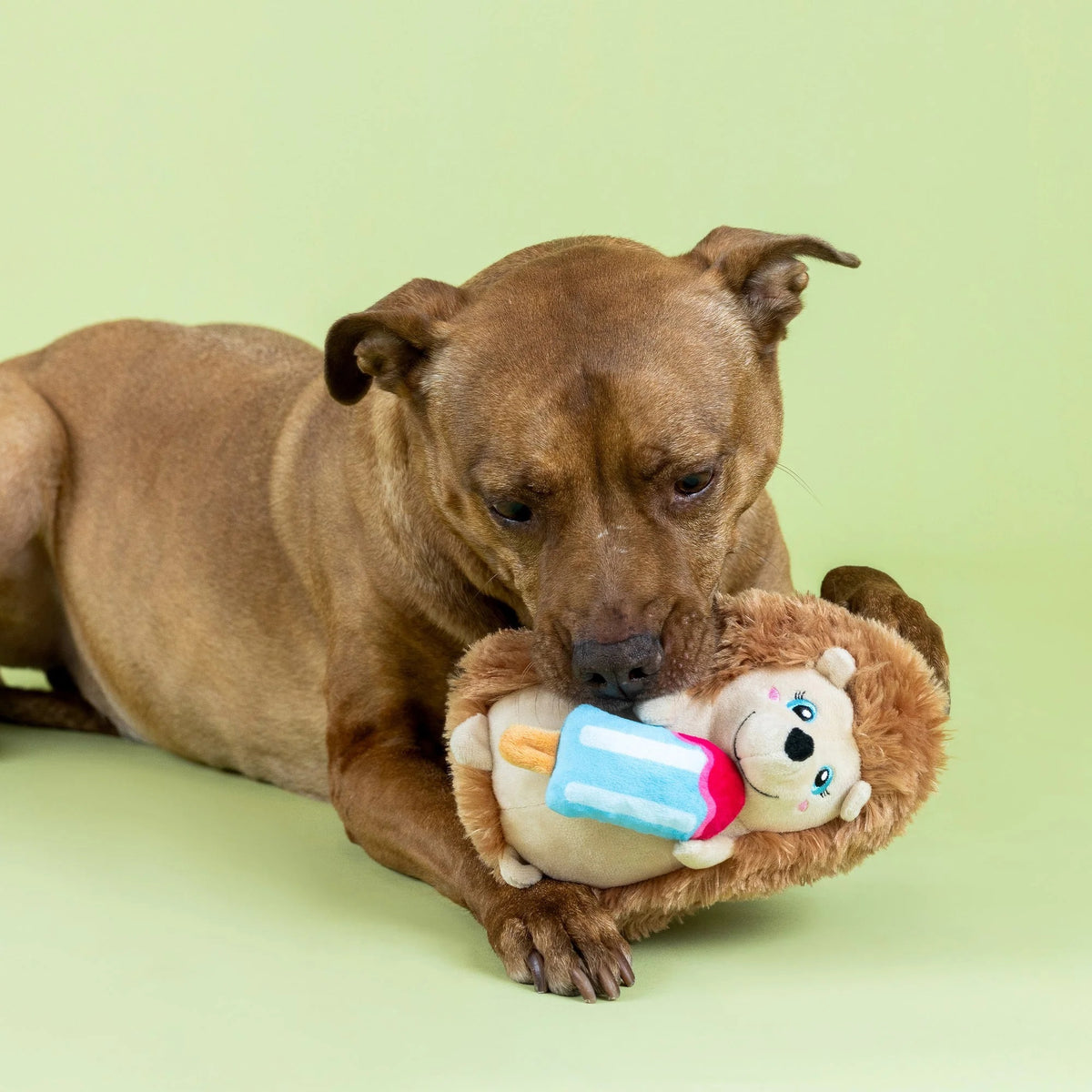 Bring extra fun to playtime with the PET SHOP BY FRINGE STUDIO "Be Cool, Be Hedgy" Plush Dog Toy—a plush hedgehog with soft brown fur, a cheerful smile, and a vibrant blue and pink popsicle. This adorable dog toy also features crinkle material inside for added excitement during play.