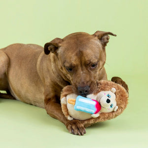 Bring extra fun to playtime with the PET SHOP BY FRINGE STUDIO "Be Cool, Be Hedgy" Plush Dog Toy—a plush hedgehog with soft brown fur, a cheerful smile, and a vibrant blue and pink popsicle. This adorable dog toy also features crinkle material inside for added excitement during play.