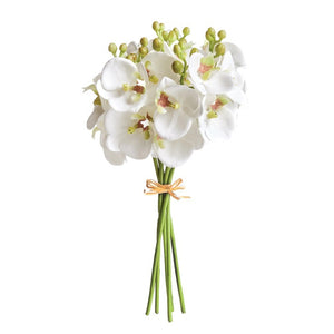 The NAPA HOME AND GARDEN - PHALAENOPSIS ORCHID STEM BUNDLE 6 features a bouquet of white orchids with pale pink centers and closed buds, tied with light brown twine. The realistic stems add elegance to home decor, beautifully arranged against a plain white background.