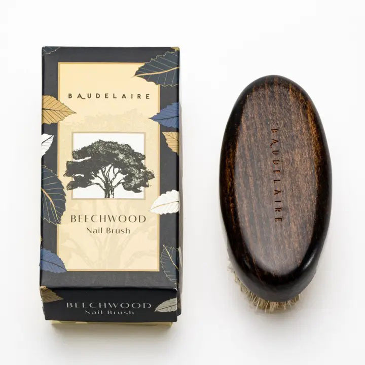 A BAUDELAIRE - BEECHWOOD 4&quot; NAIL BRUSH with a dark wooden handle and natural boar bristles is placed next to its decorative box. The box features a design with leaves and an illustration of a tree, along with the brand name &quot;BAUDELAIRE.