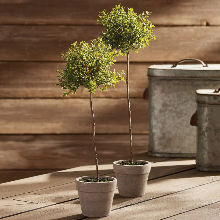 The NAPA HOME AND GARDEN - THYME TOPIARY 16 is a realistic artificial thyme tree with a slender trunk and round green top, set in a light pot—ideal as a no-maintenance décor piece by NAPA HOME AND GARDEN.