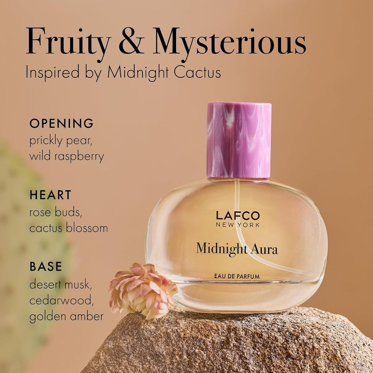A LAFCO Fine Fragrance, Midnight Aura 50ml box rests on a rock, framed by flowers and green cactus pads in the background, capturing the essence of this alluring fruity perfume crafted with essential oils.