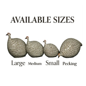 The LES CERAMIQUES DE LUSSAN - Pecking Ceramic French Guinea in White Spotted Gray is a ceramic figurine inspired by traditional French pottery, featuring a beige base adorned with a pattern of small dark circles and a red comb accent, displayed on a white background.