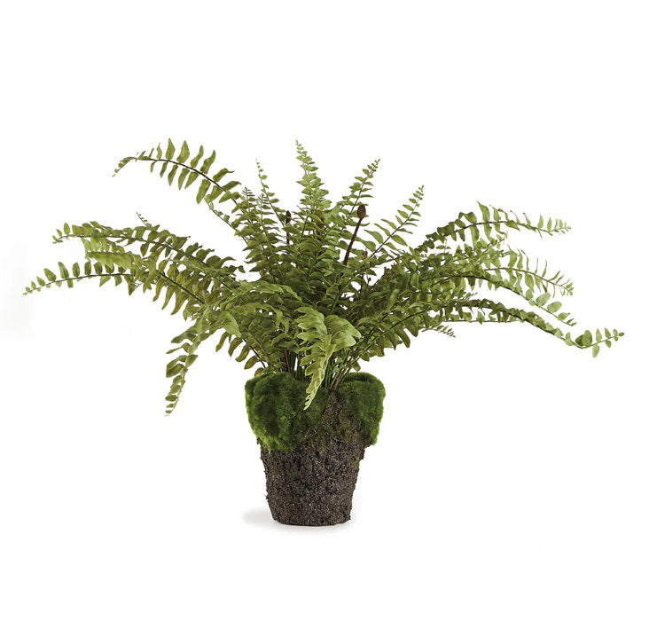 The NAPA HOME AND GARDEN - BOSTON FERN DROP IN 16 features lifelike, arching green fronds in a moss-covered pot, perfectly mimicking a real Boston Fern. Displayed against a plain white background.