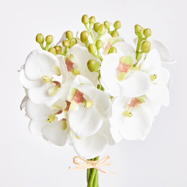 The NAPA HOME AND GARDEN - PHALAENOPSIS ORCHID STEM BUNDLE 6 features a bouquet of white orchids with pale pink centers and closed buds, tied with light brown twine. The realistic stems add elegance to home decor, beautifully arranged against a plain white background.